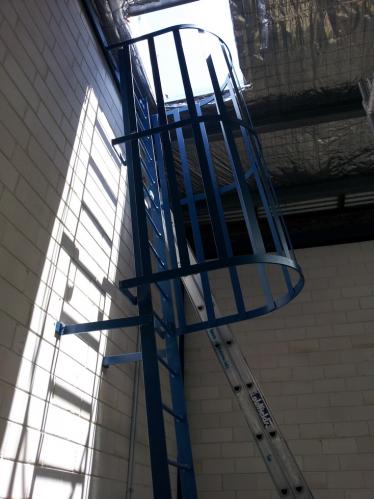 Ladder Cage